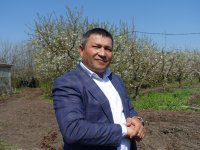 Крымский фермер выращивает яблоневый сад по уникальной крымской технологии
